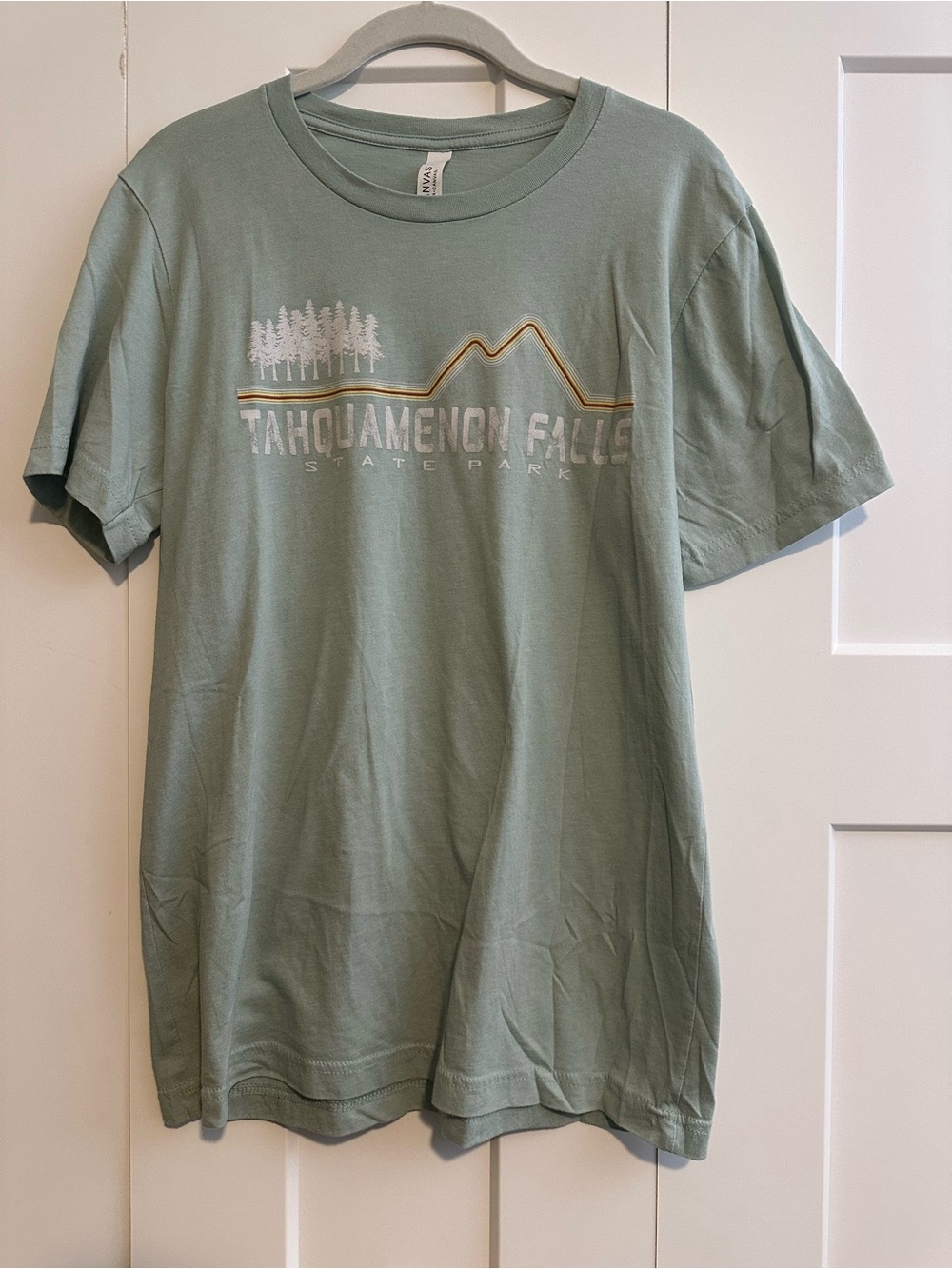 Bella Canvas Tahquamenon Falls Sage Green Graphic Tee
